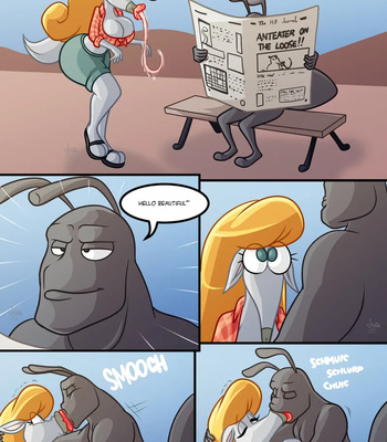 Anteater Gets Ant-Beaten
