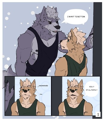 Fox & Wolf mini comic | Toroi