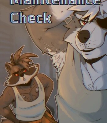 Maintenance Check (Ongoing)