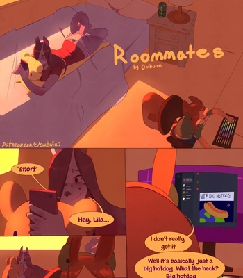Roomates