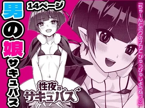 Seiya no Succubus