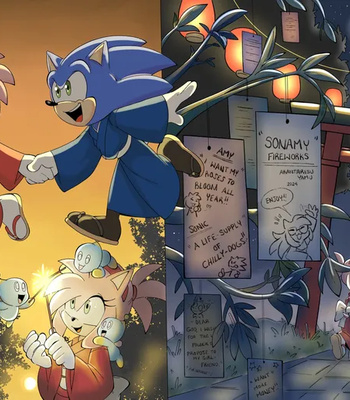 Sonamy Fireworks