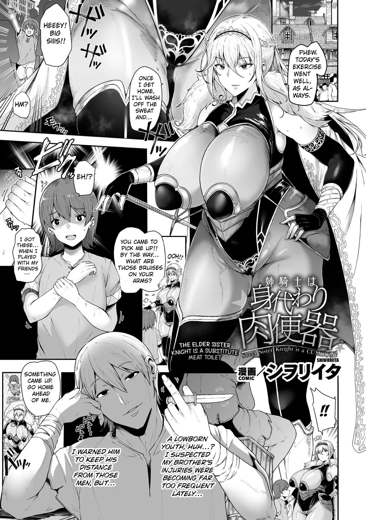 The Elder Sister Knight is a Substitute Meat Toilet