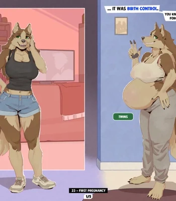 The Maternity Photos Of The Milf Life Of Roxanne