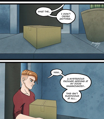 The Surprise Package