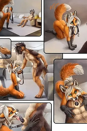A Well Trained Fox