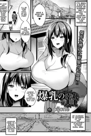 Bakunyuu no Nie