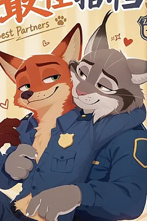 Best Partner