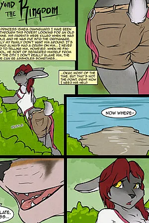 Beyond The Kingdom