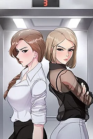 Cat Fight