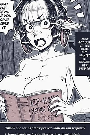 Elf Book Meme