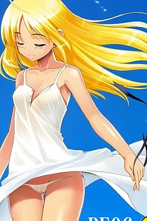 FSN REO6 (english)
