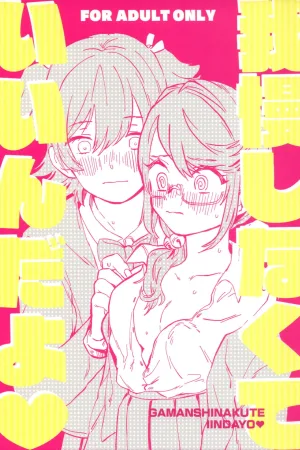 Gaman Shinakute Iinda yo