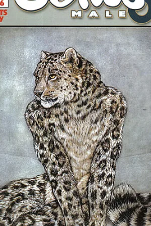Genus Male 6