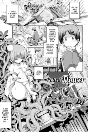 Hachi no Ue no Flower