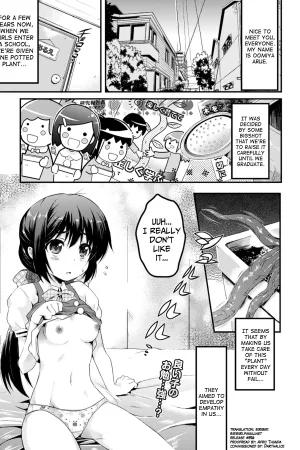 Hajimete no Saibai