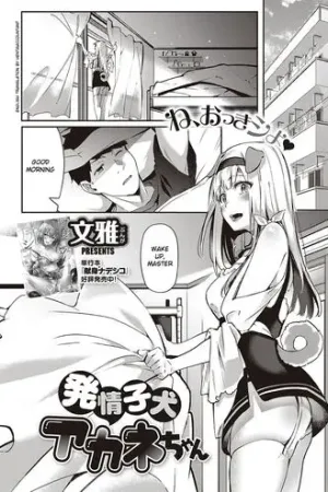 Hatsujou Koinu Akane-chan