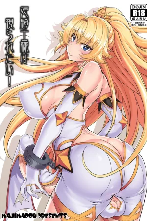 Hime Kishi-sama wa Miraretai!
