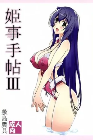 Himegoto Techou III