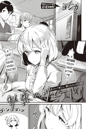 Himitsu no Veil