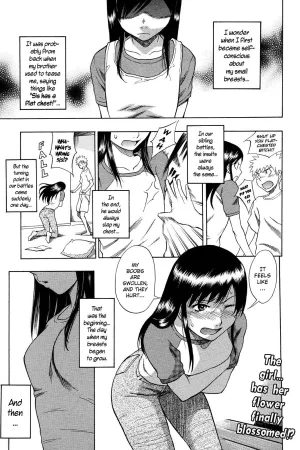 Hinnyuu Kyonyuu History