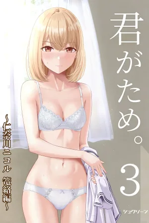 Kimi ga Tame. 3 ~Ninagawa Nicole Rouraku Hen~
