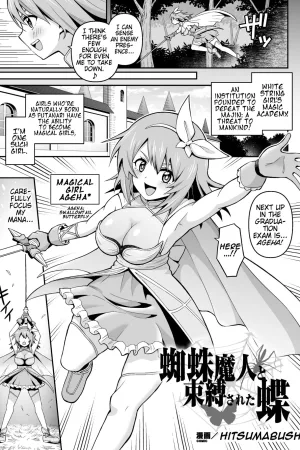 Kumo Majin to Sokubakusareta Chou