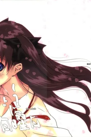 Kyouha Nichiyoubi