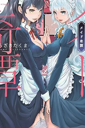 maid mysterious story