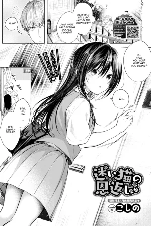 Mayoineko no Ongaeshi Tsuzuki