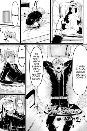 Neet Meets Princess