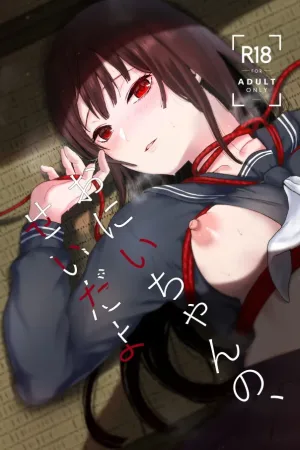 Onii-chan no, Sei da yo