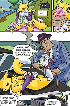 Renamon Tickled By Turtelli