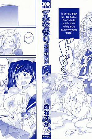 Shiritsu! Futanari Gakuen! Seitokai