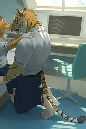 Stripes