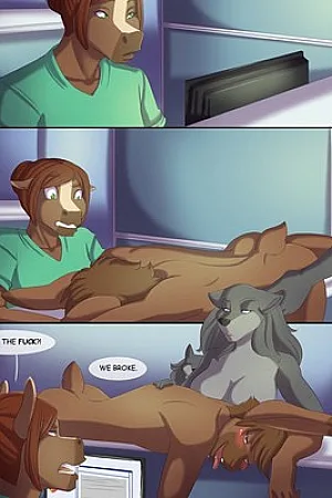 The Life of Bobbie