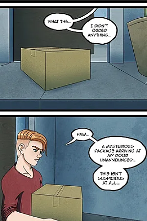 The Surprise Package