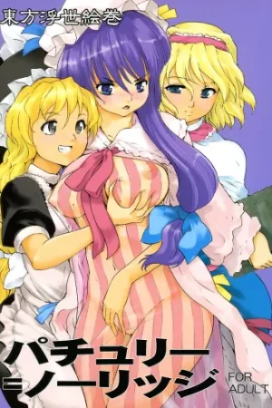 Touhou Ukiyo Emaki Patchouli Knowledge