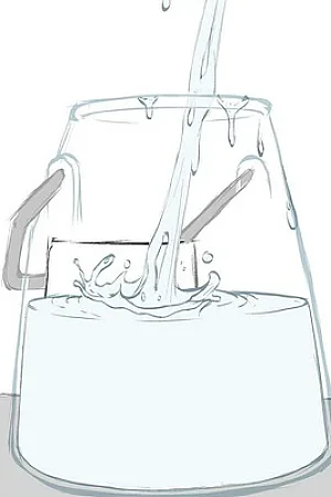 Which Milk
