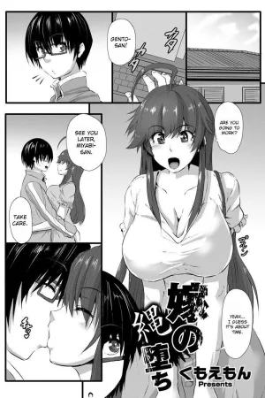 Yome no Nawaochi